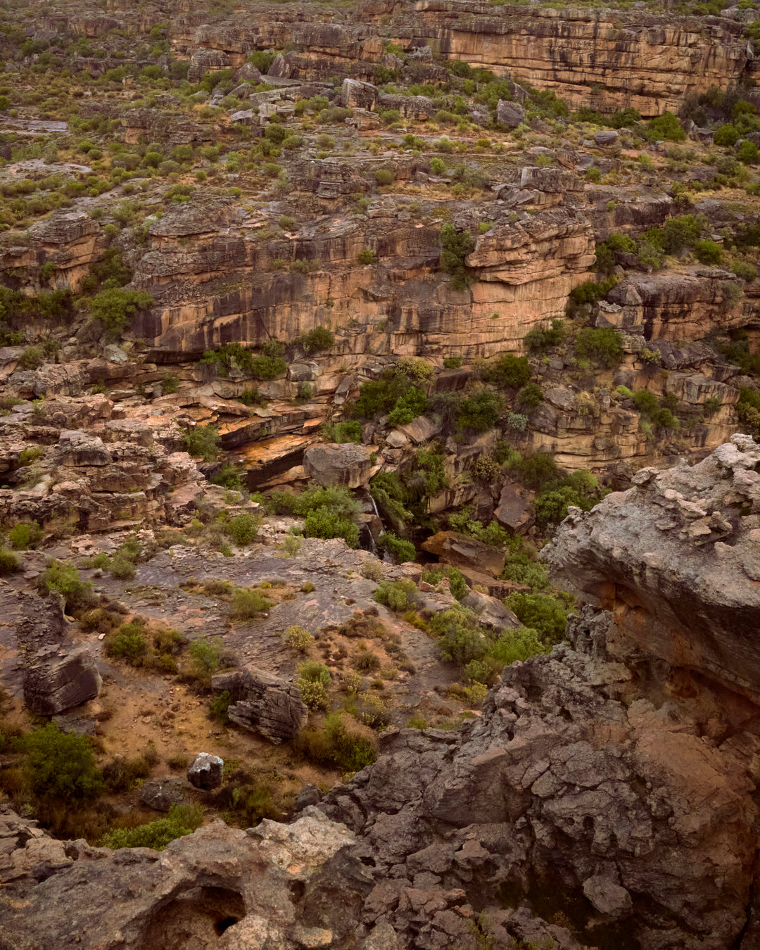 Capturing Serenity: A Photographic Exploration of Tranquil Landscapes - 8